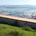 Cornites (204)